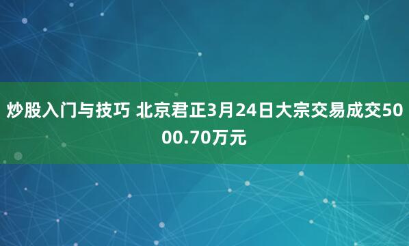 炒股入门与技巧 北京君正3月24日大宗交易成交5000.70万元